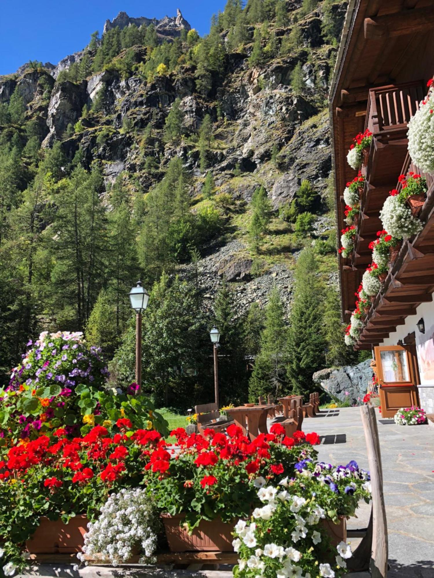 Residence Oberteil Грессоне-Ла-Триніте Екстер'єр фото